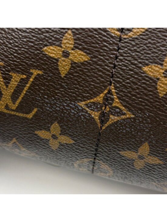 Louis Vuitton Palm Springs Backpack MM Monogram Brown main image 9